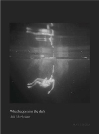 Aili Markelius - What happens in the dark.