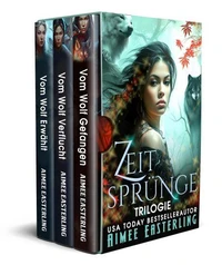 Zeitsprünge Trilogie