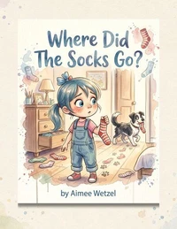 Where Did The Socks Go?