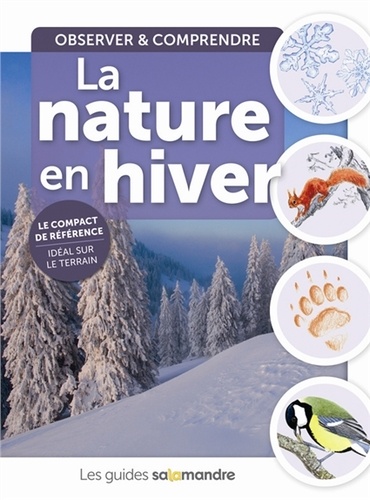 Aino Adriaens et Robert Bolognesi - La nature en hiver - Observer & comprendre.