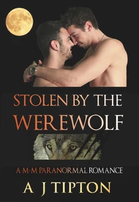 Stolen by the Werewolf: A M-M Paranormal Romance