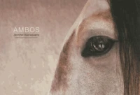 Ambos