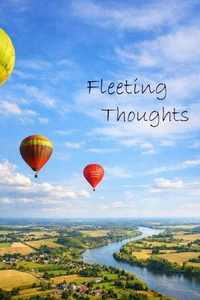 Fleeting Thoughts