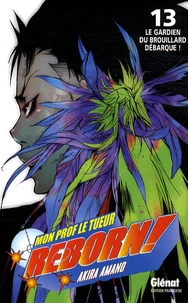 Reborn ! Tome 13