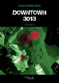 Downtown 3013