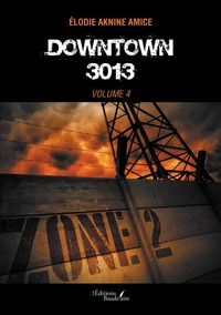 Downtown 3013