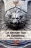 Le dernier lion de Castelnau Edition en gros caractères