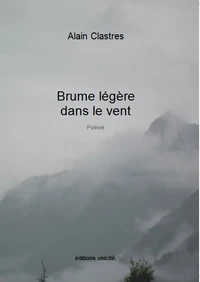 Brume légère dans le vent