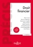 Alain Couret et Hervé Le Nabasque - Droit financier - 3e éd..