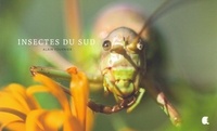 Insectes du sud.pdf