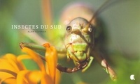 Alain Fournier - Insectes du sud.