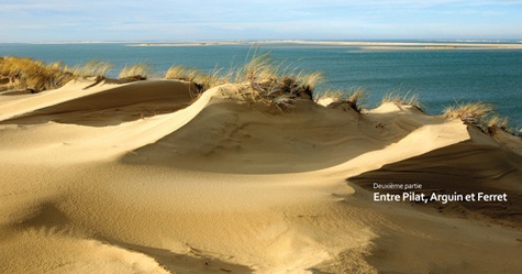 Dunes d'Aquitaine