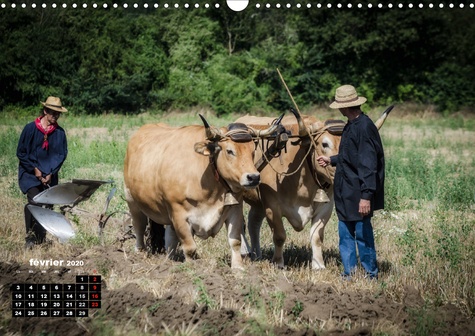 Agriculture, images d'antan  Edition 2020