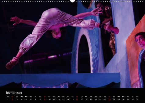 CALVENDO Art  Circus Juventas(Premium, hochwertiger DIN A2 Wandkalender 2020, Kunstdruck in Hochglanz). Le Circus Juventas est une école de cirque dans le Minnesota (Calendrier mensuel, 14 Pages )