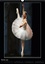 CALVENDO Art  Étoiles du Gala russe à Monaco (Calendrier mural 2020 DIN A3 vertical). Les étoiles des plus grands ballets à Monaco pour le Gala russe (Calendrier mensuel, 14 Pages )