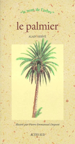 Alain Hervé - Le palmier.