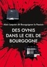 Alain Lequien - Des ovnis dans le ciel de Bourgogne - 238 cas de 461 à nos jours.