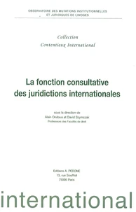 La fonction consultative des juridictions internationales