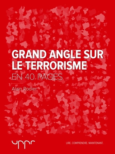 Grand angle sur le terrorisme  - En 40 pages