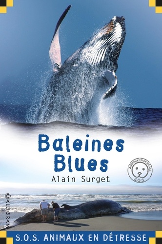 Alain Surget - Baleines blues.