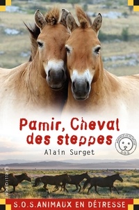 Alain Surget - Pamir, Cheval des steppes.