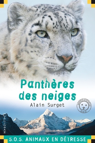 Alain Surget - Panthère des neiges.