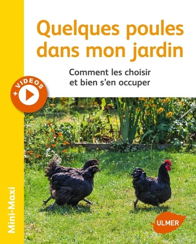 Quelques poules dans mon jardin. Comment les choisir et bien s'en occuper