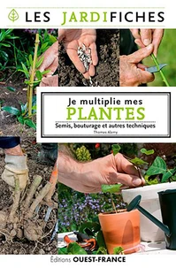 Je multiplie mes plantes