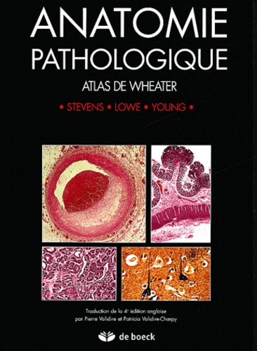Alan Stevens et James-S Lowe - Anatomie pathologique - Atlas de Wheater.