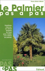 Le Palmier pas à pas
