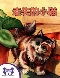 走失的小猫