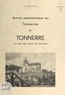 Albert Larcher - Survol panoramique du Tonnerrois et Tonnerre vu par les yeux du peintre.