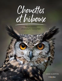 Chouettes et hiboux
