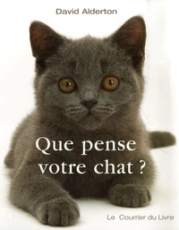 Que pense votre chat?