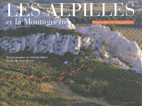Les Alpilles et la Montagnette de Aldo Bastié - Livre - Decitre