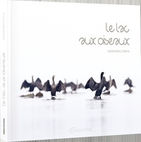 Livres gratuits sur google à télécharger Le lac aux oiseaux par Alessandro Staehli ePub 9782889583836 (Litterature Francaise)