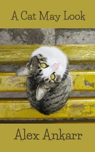 A Cat May Look