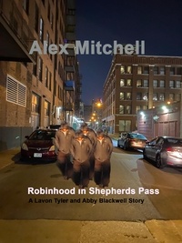  Alex Mitchell - Robinhood at Shepherds Pass.