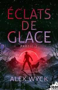 Eclats de glace