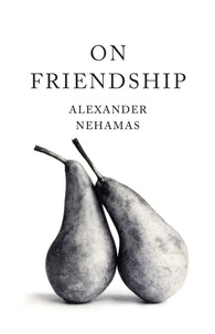 Alexander Nehamas - On Friendship.