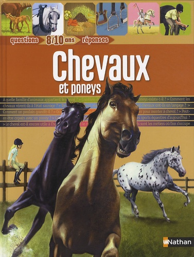 Alexandra Frappier - Chevaux et poneys.