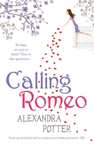 Calling Romeo. A hilarious, delightful romcom from the author of CONFESSIONS OF A FORTY-SOMETHING F##K UP!