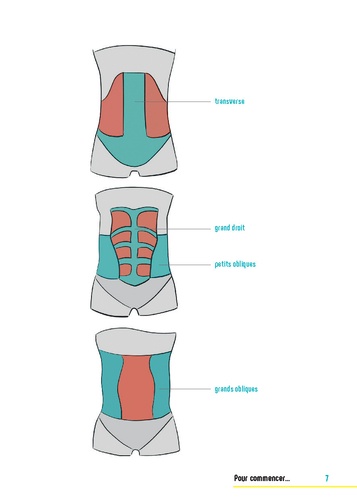 Gainage et musculation profonde. 50 exercices détaillés, 3 programmes d'entraînement, 1 résultat visible et durable