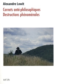 Alexandre Lowit - Carnets anté-philosophiques - Destructions phénoménales.