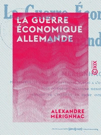 La Guerre économique allemande