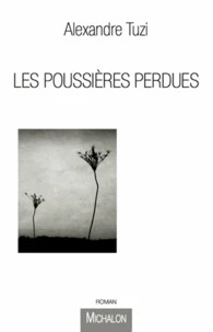 Les poussières perdues