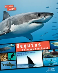 Requins