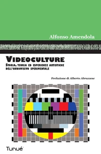 Videoculture. Storia, teorie ed esperienze artistiche dell'audiovisivo sperimentale