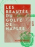 Alfred Driou - Les Beautés du golfe de Naples.