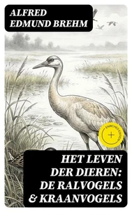 Het Leven der Dieren: De Ralvogels & Kraanvogels